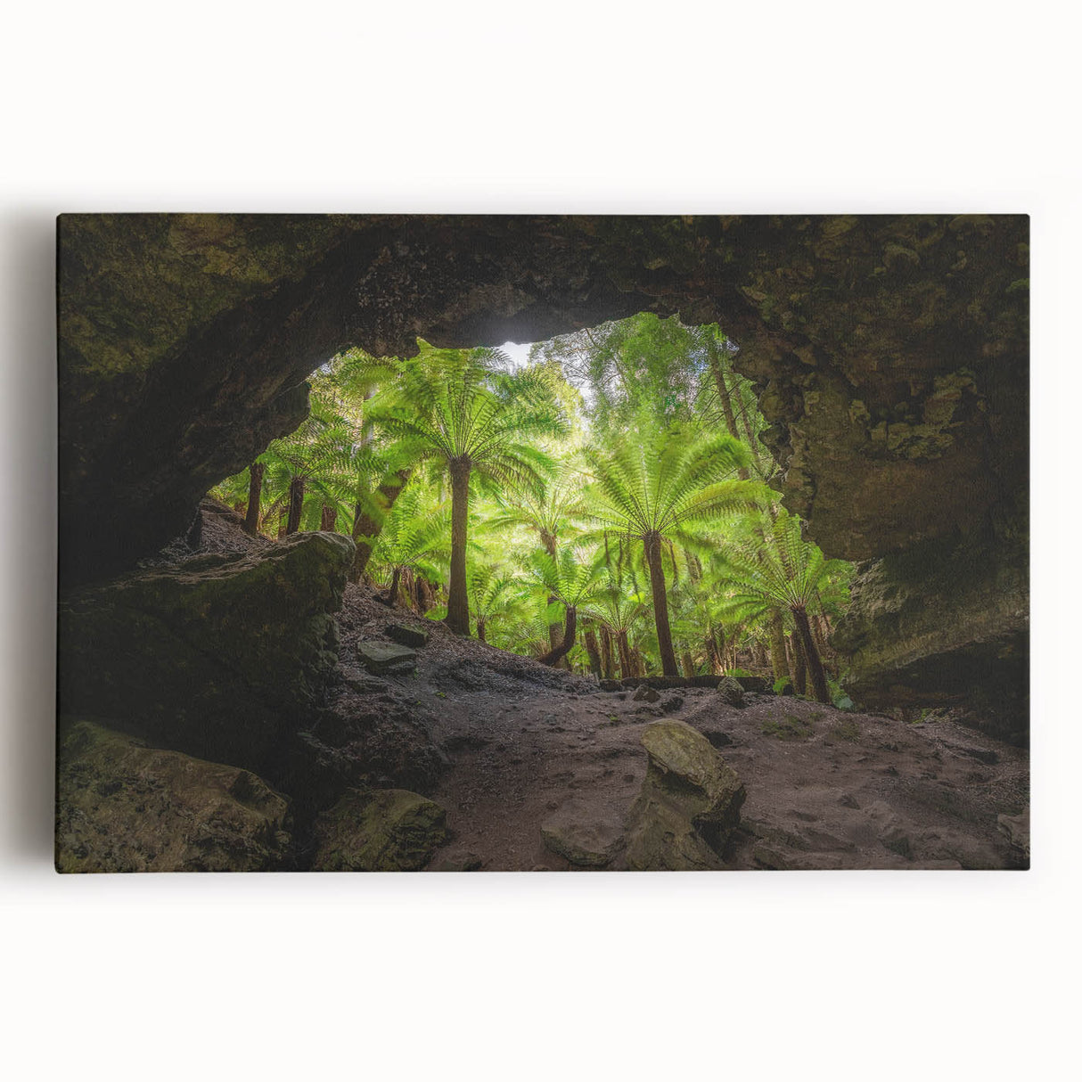 Black and white stretched canvas of a Tasmanian landscape, ideal for kitchen wall art or bedroom ambiance.