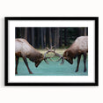 Extra large abstract art print featuring a colorful, textured depiction of Alberta scenery, in a black frame.