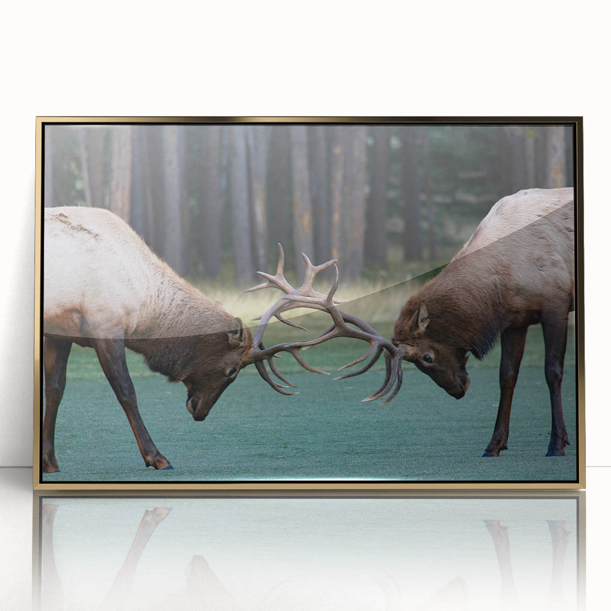 Mid-century modernist style large art print of Alberta, Canada scenery in gold frame, suited for modern art wall decor.