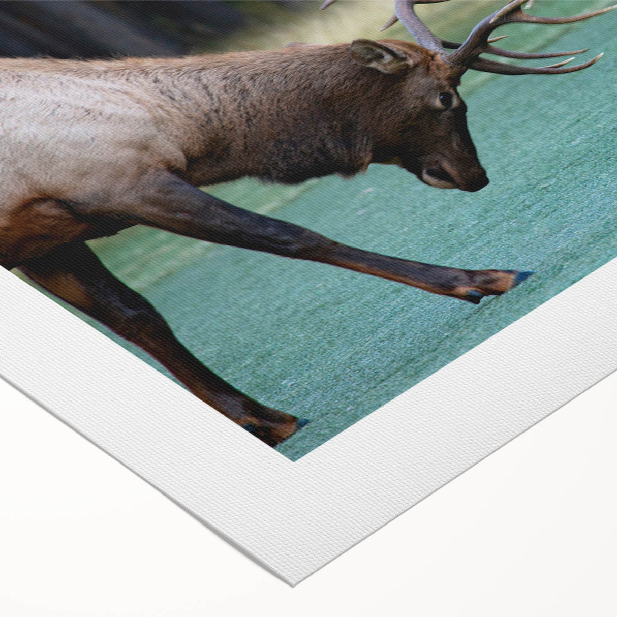 Art deco poster featuring a serene Alberta, Canada landscape on rolled canvas, ideal for dining room wall art.