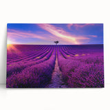 Black and white stretched canvas of a Provence scenery, ideal for kitchen wall art.