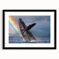 Colorful abstract art print of Cabo San Lucas scenery on a large textured canvas, framed in black.