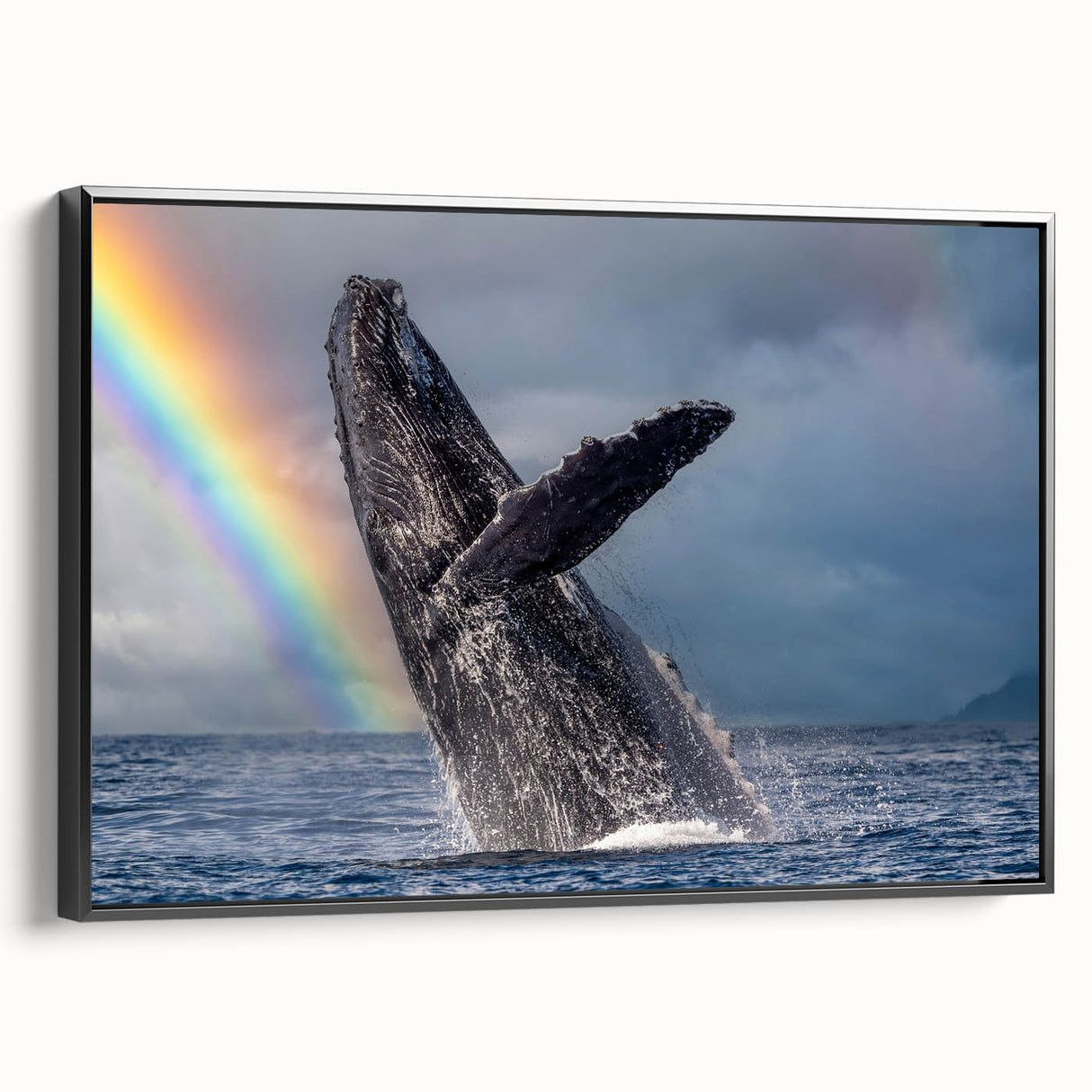 Black and white framed canvas of Cabo San Lucas landscape, ideal for bedroom wall art.
