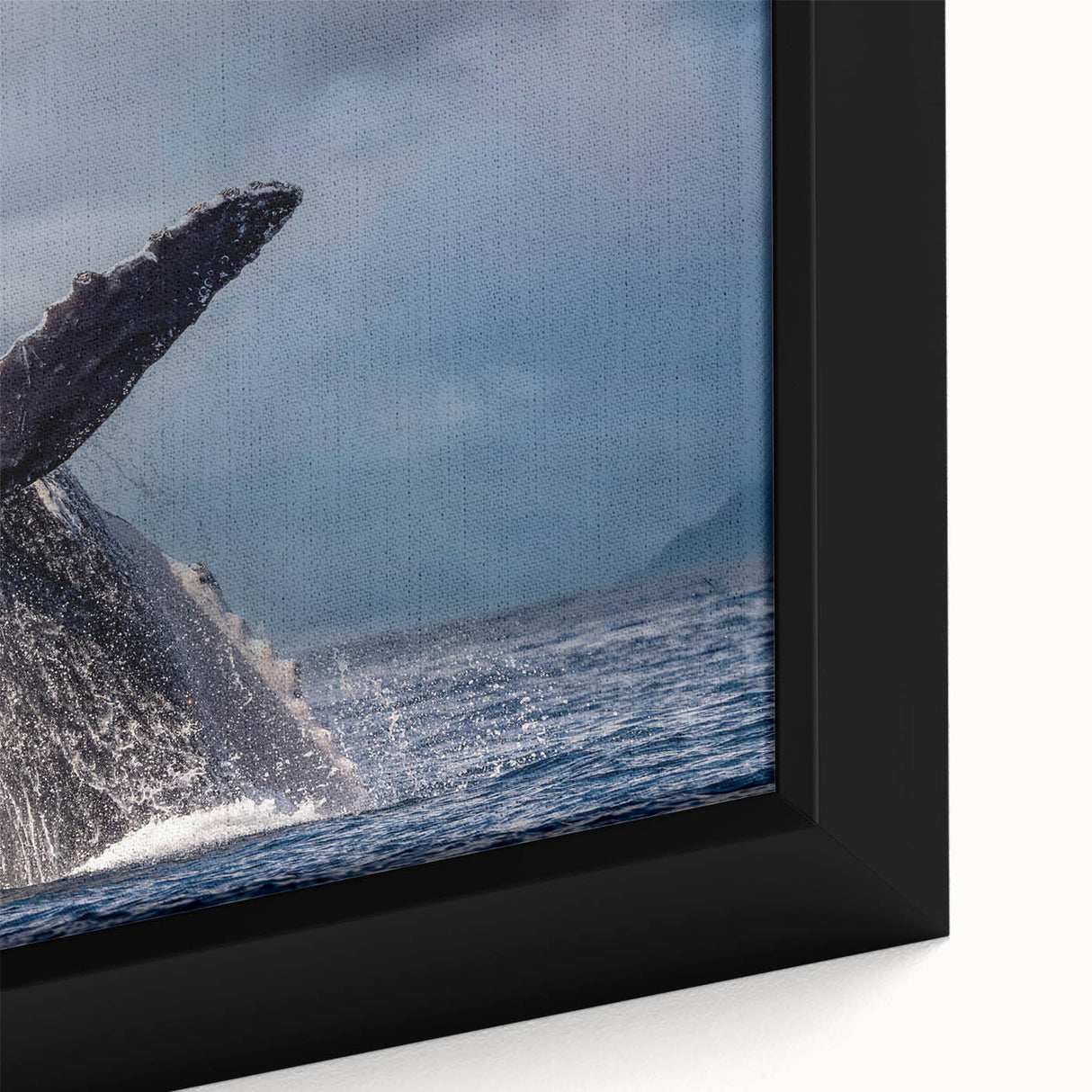 Extra large framed canvas featuring a textured depiction of Cabo San Lucas with vibrant colors on a black background.