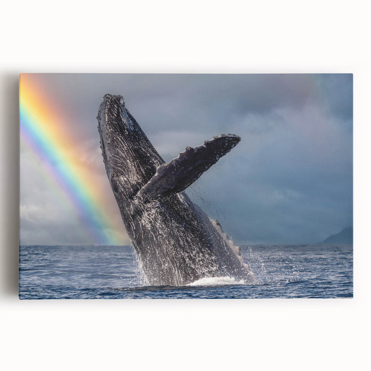 Black and white stretched canvas of Cabo San Lucas scenery, ideal for kitchen wall art.