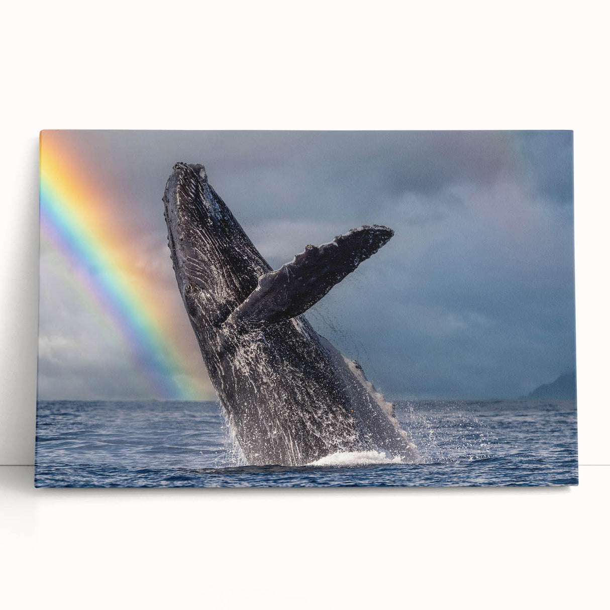 Black and white stretched canvas featuring the Cabo San Lucas scenery, ideal for kitchen wall art or bedroom ambiance.