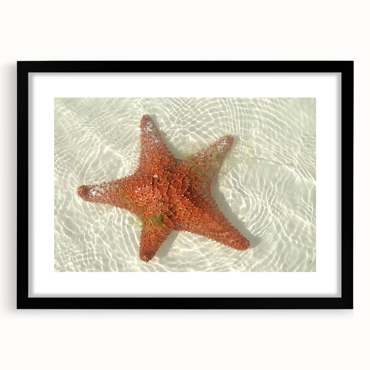 Extra large framed abstract print of colorful, textured scenery from Quintana Roo on canvas, ideal for living room decor.