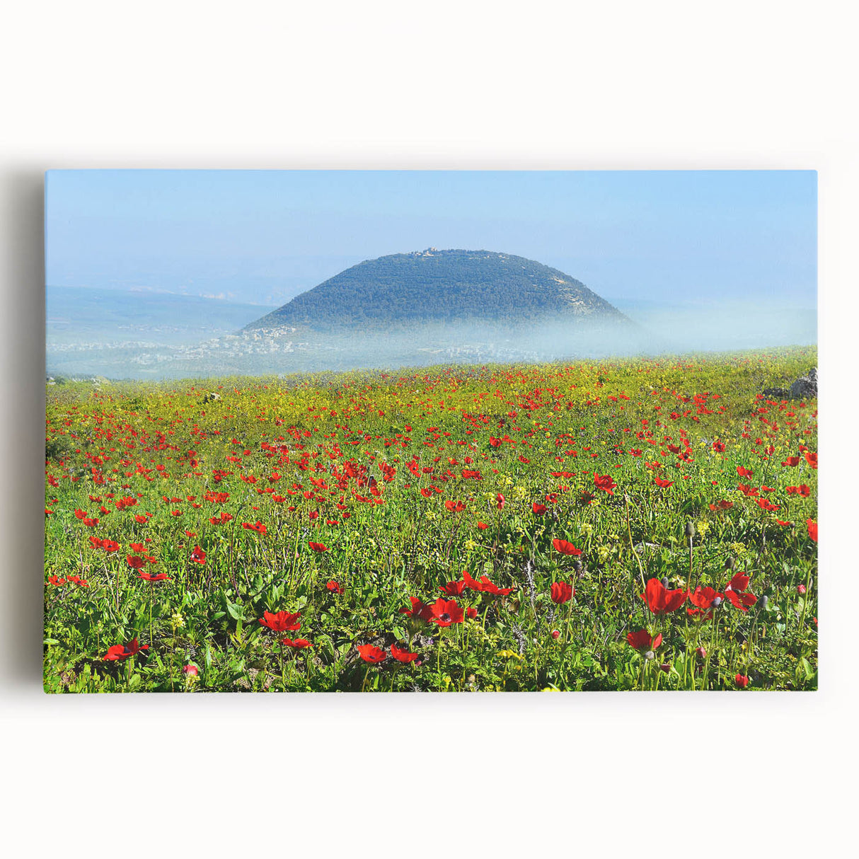 Black and white stretched canvas of a Middle Eastern cityscape, ideal for kitchen wall art.