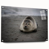 Acrylic print of a Galapagos scenery in vibrant blue and green tones, suitable for bedroom or dining room decor.