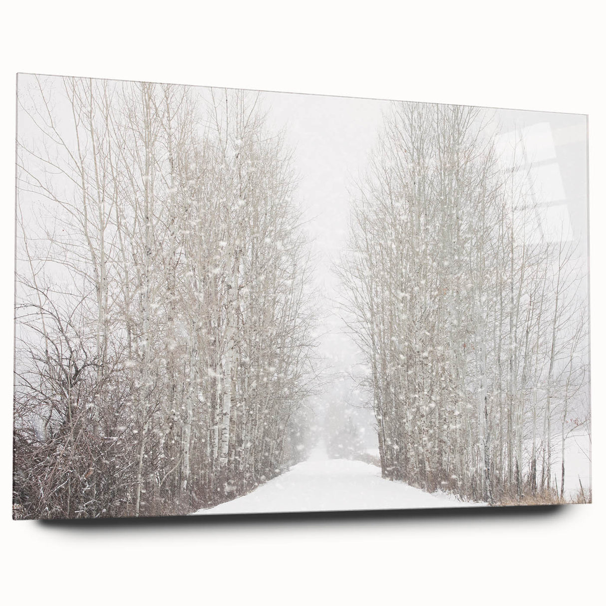Large abstract wall art depicting Aspen, Colorado scenery in autumn hues on acrylic glass.