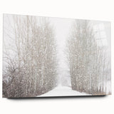 Large abstract wall art depicting Aspen, Colorado scenery in autumn hues on acrylic glass.