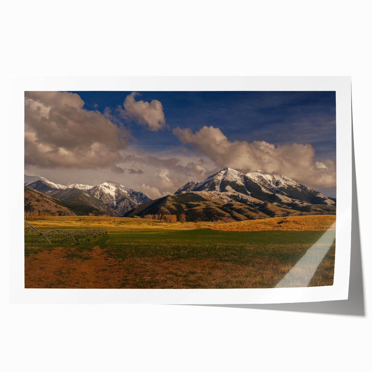 Extra large rolled print of a Montana landscape with vivid green fields under a blue sky, ideal for dining room wall art.