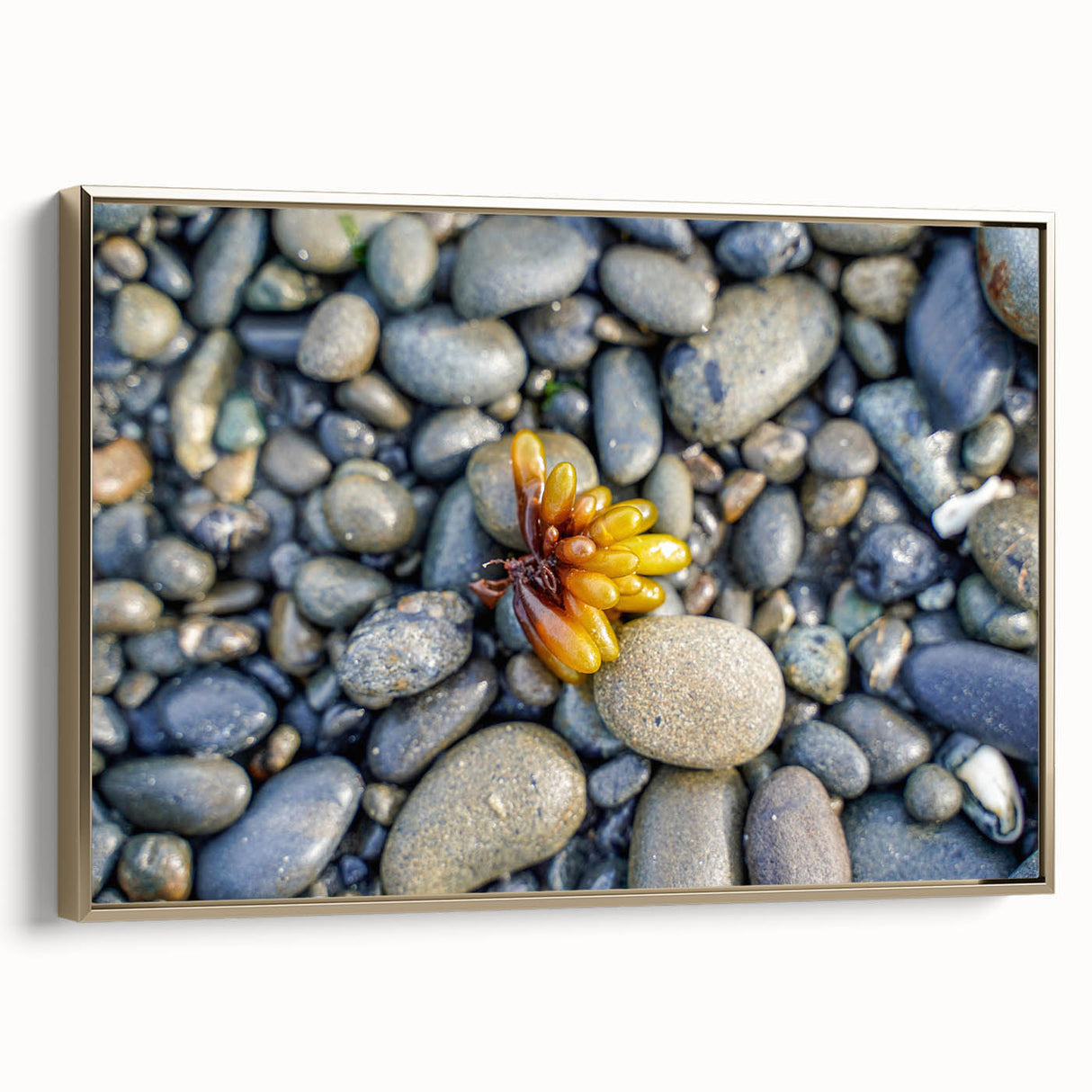 Framed canvas featuring a vintage-style landscape painting of Olympic National Park with rich gold and black tones.