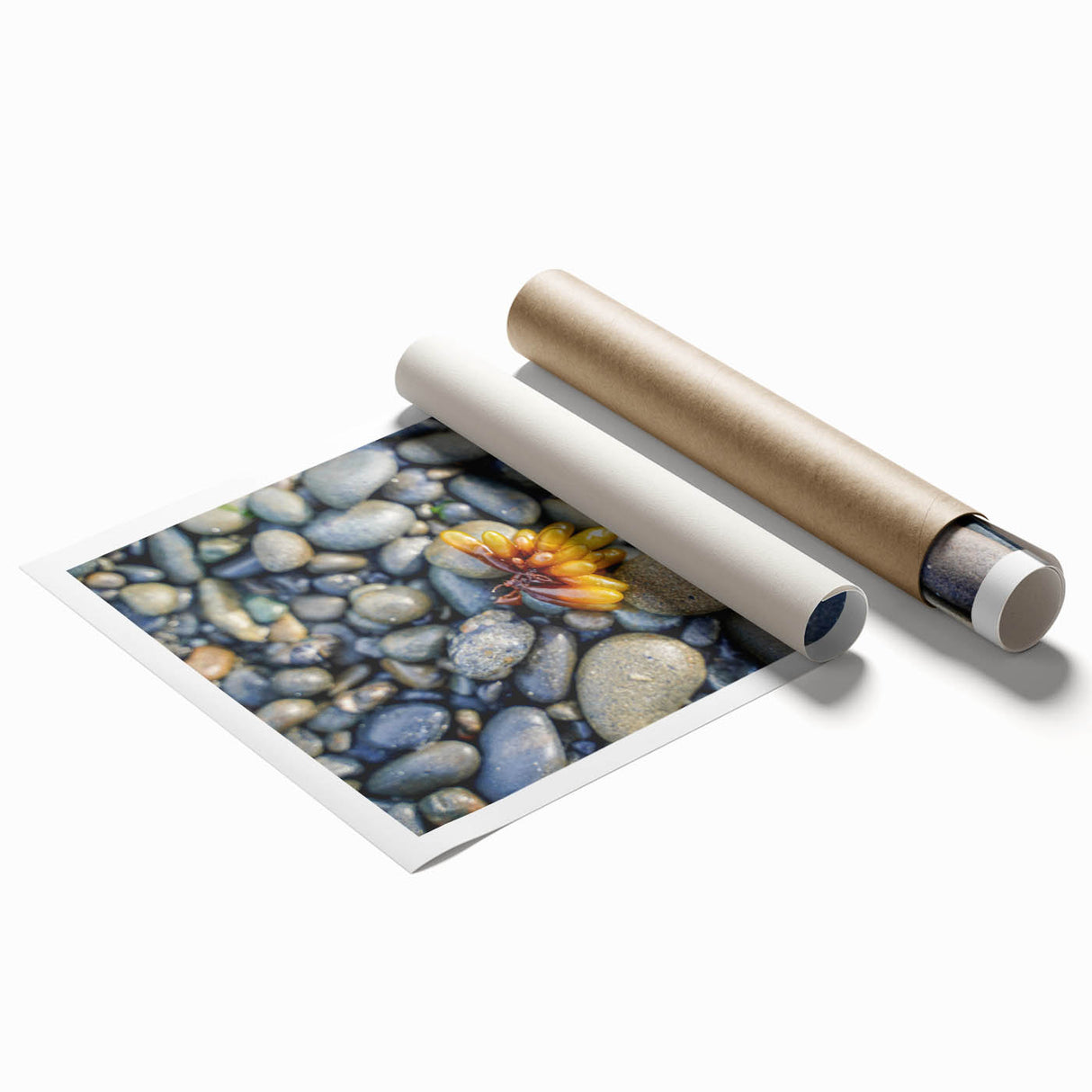 Extra large rolled print depicting the Olympic scenery in Washington, featuring earthy tones.