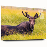 Acrylic print of Grand Tetons scenery with vibrant green and mountain hues, ideal for dining room art.