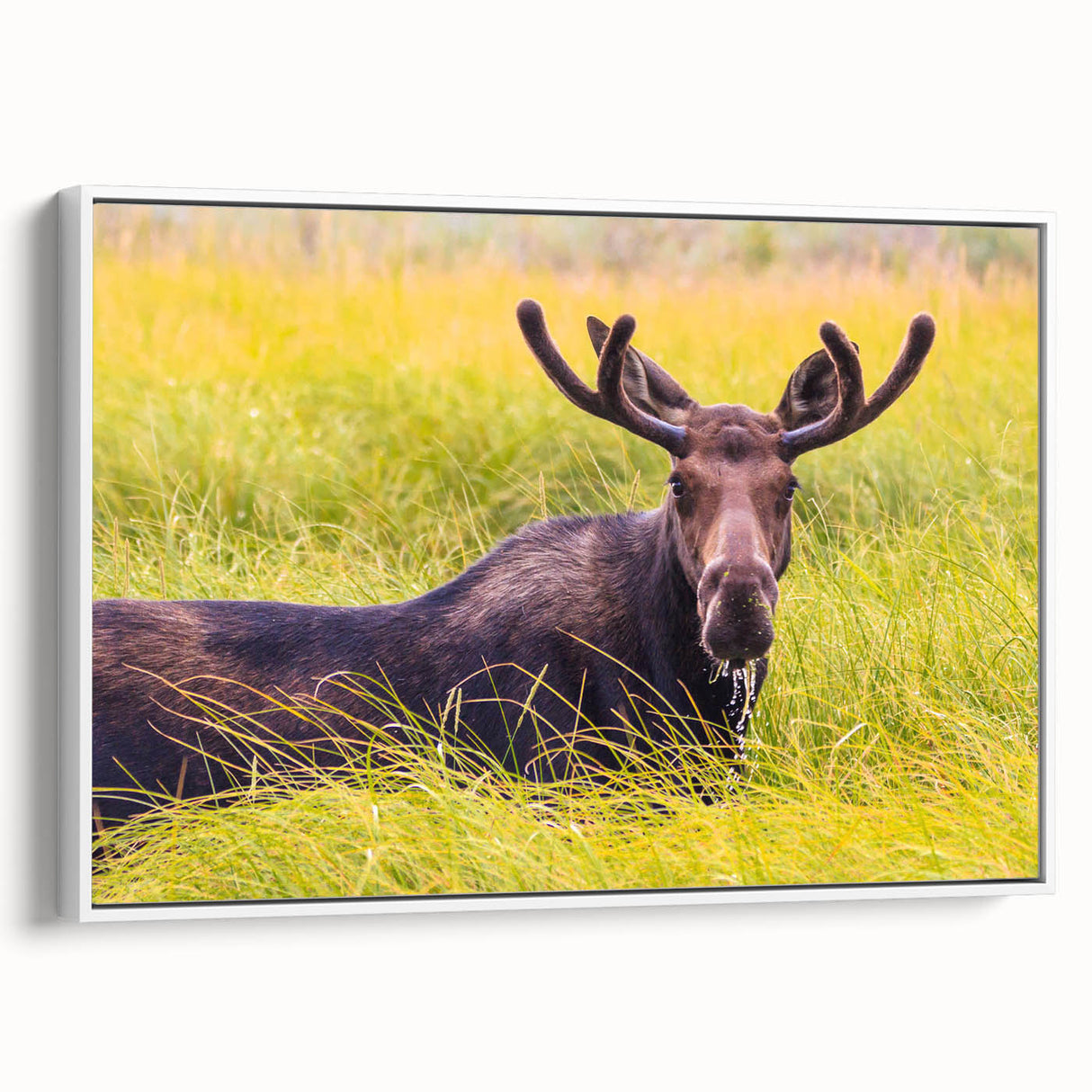 Vintage poster art of the Grand Tetons in muted earth tones on a framed canvas, suitable for living room decor.