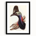 Australian Cassowary by Elizabeth Gould - Romantic Wildlife Art Print