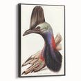 Australian Cassowary by Elizabeth Gould - Romantic Wildlife Art Print