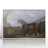 A Clydesdale Stallion by John Frederick Herring - Romantic Art Print