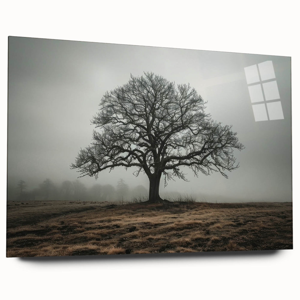 Abstract landscape wall art displayed in an acrylic glass frame, showcasing vibrant colors and intricate details, perfect for modern home decor.