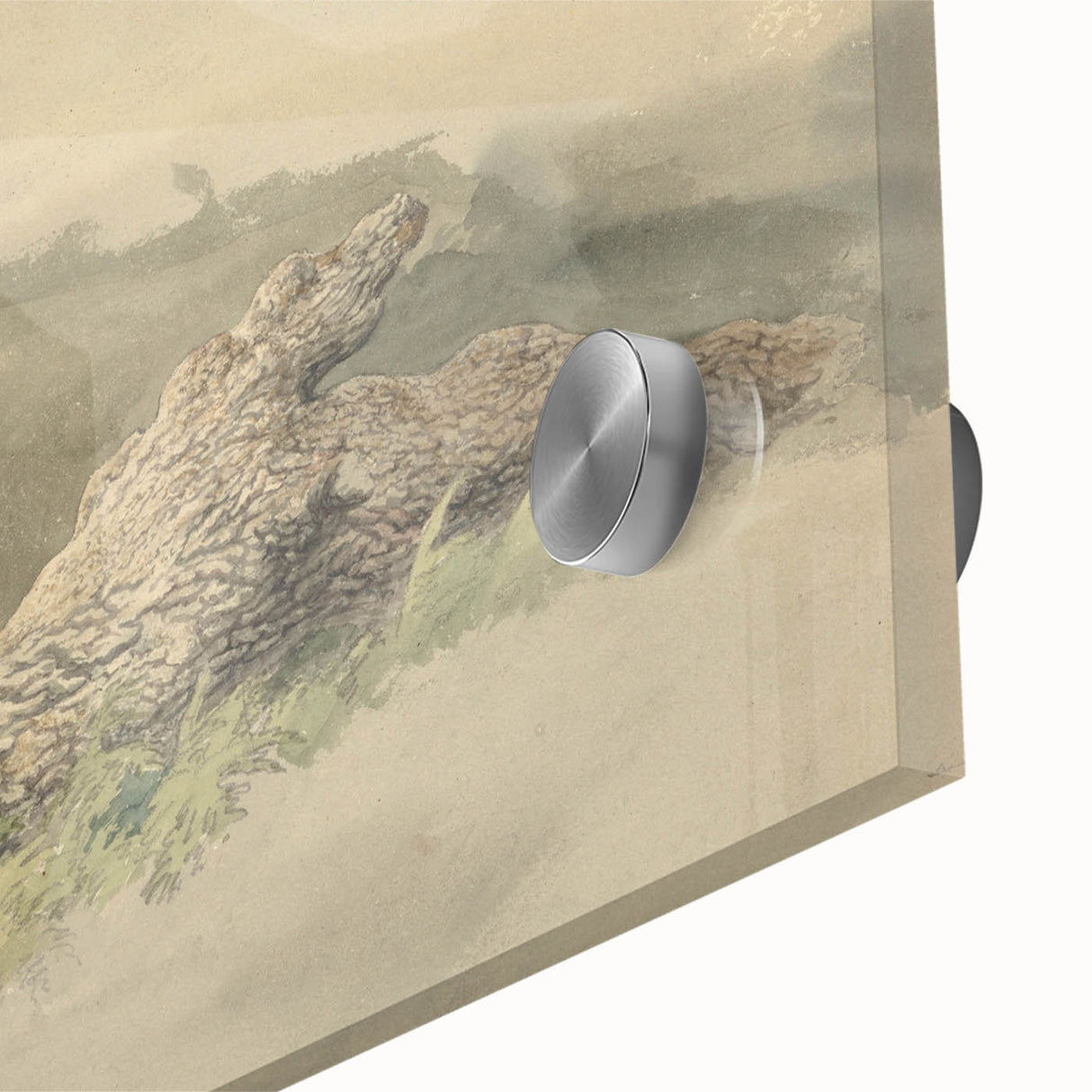 Realism Art Prints - The Fallen Tree Nature Study Canvas Art Print