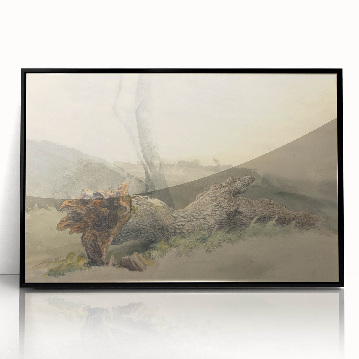 Realism Art Prints - The Fallen Tree Nature Study Canvas Art Print