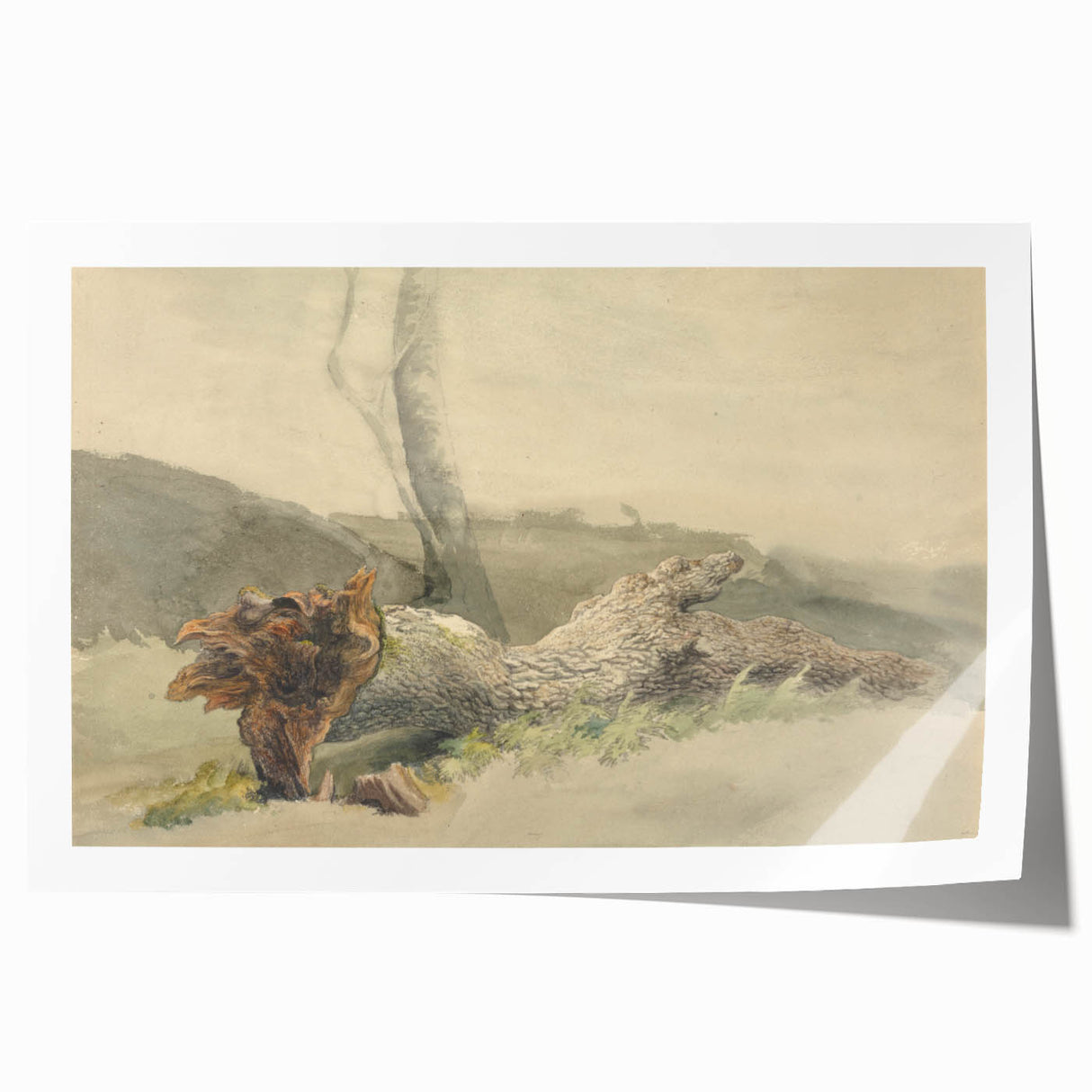 Realism Art Prints - The Fallen Tree Nature Study Canvas Art Print