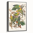 Carolina Parrot by Audubon - Romanticism Wildlife Art Print