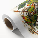 Carolina Parrot by Audubon - Romanticism Wildlife Art Print