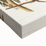 Carolina Parrot by Audubon - Romanticism Wildlife Art Print