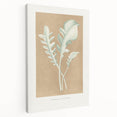 Classic Romantic Paintings: Centaurea Candidissima - Botanical Art Print