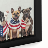 Patriotic Pups - Red, White, and Blue Wall Art