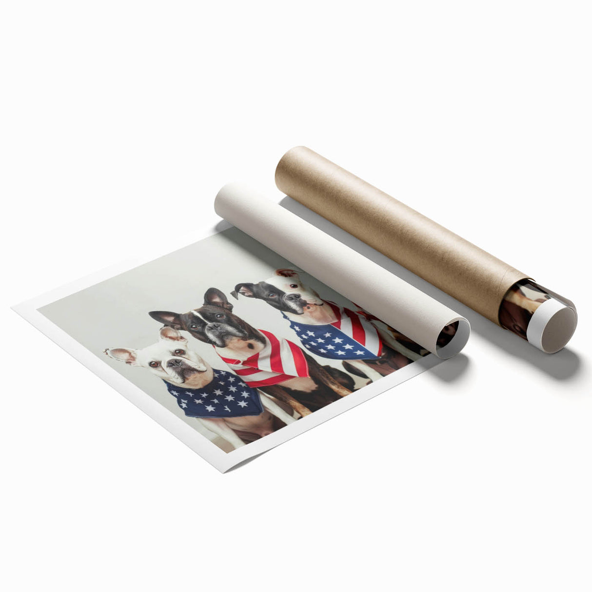 Patriotic Pups - Red, White, and Blue Wall Art