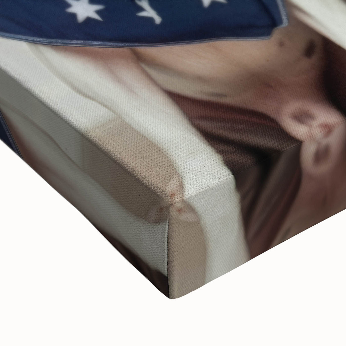 Patriotic Pups - Red, White, and Blue Wall Art