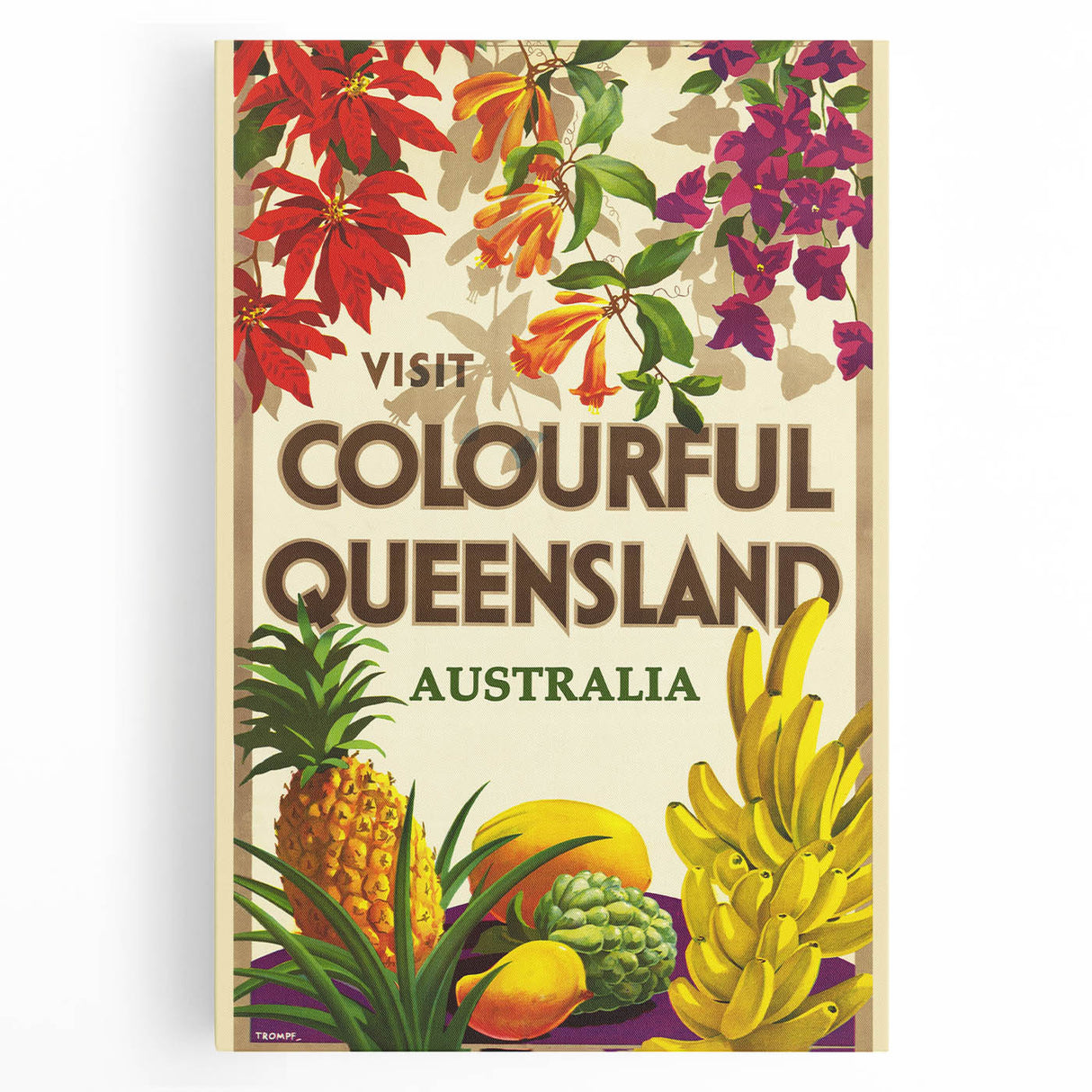 Colourful Queensland Retro Travel Poster | Tropical Fruit & Flowers Art