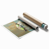 Relaxed Raccoon Bathroom Wall Art - Modern Coastal Decor