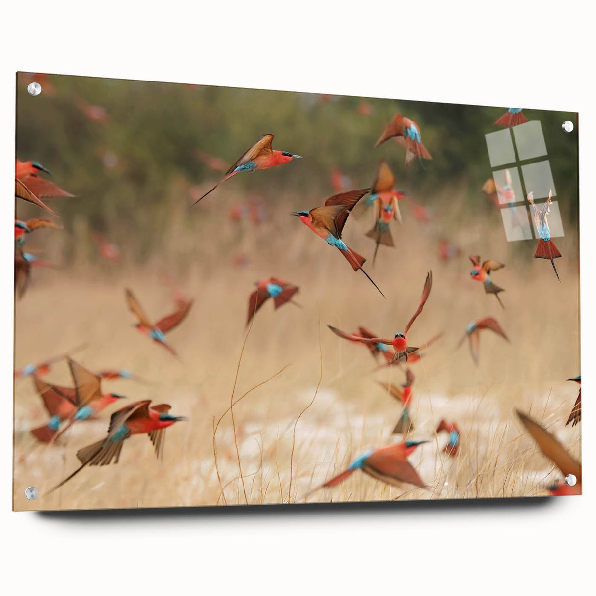 Acrylic print of an abstract Namibian landscape in earth tones, suited for dining room or bedroom decor.