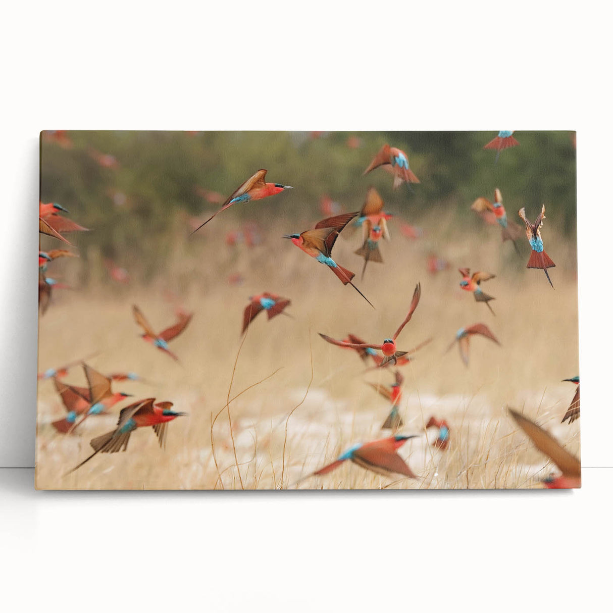 Black and white photograph of Namibian landscape on large stretched canvas.