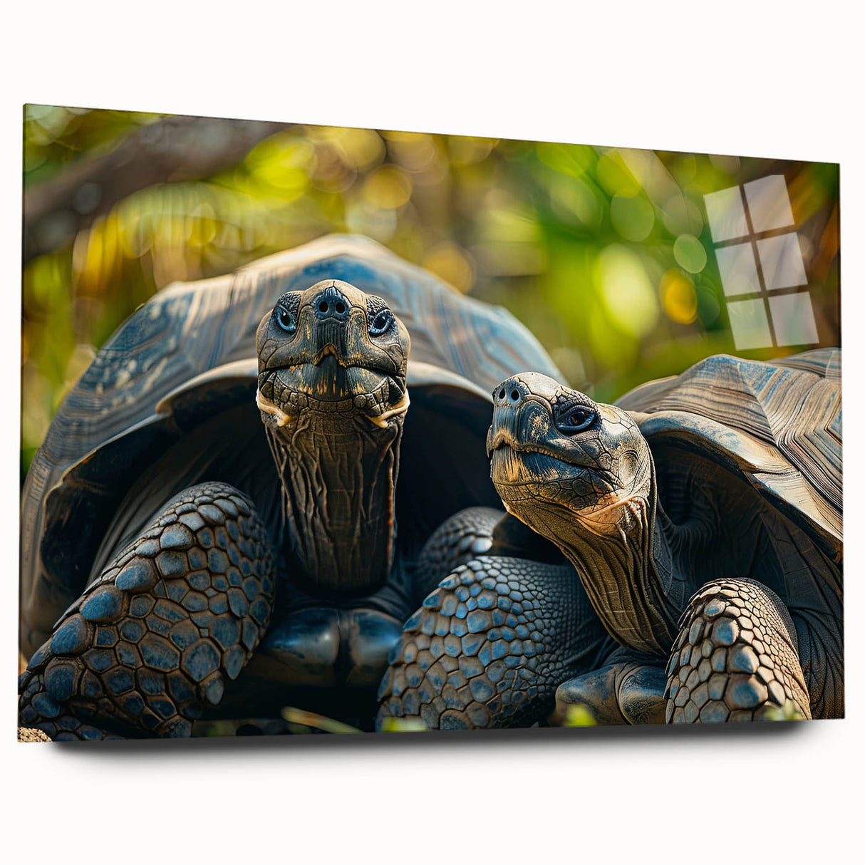 Large abstract wall art of Seychelles scenery on acrylic glass, showcasing vibrant blue and green tones.