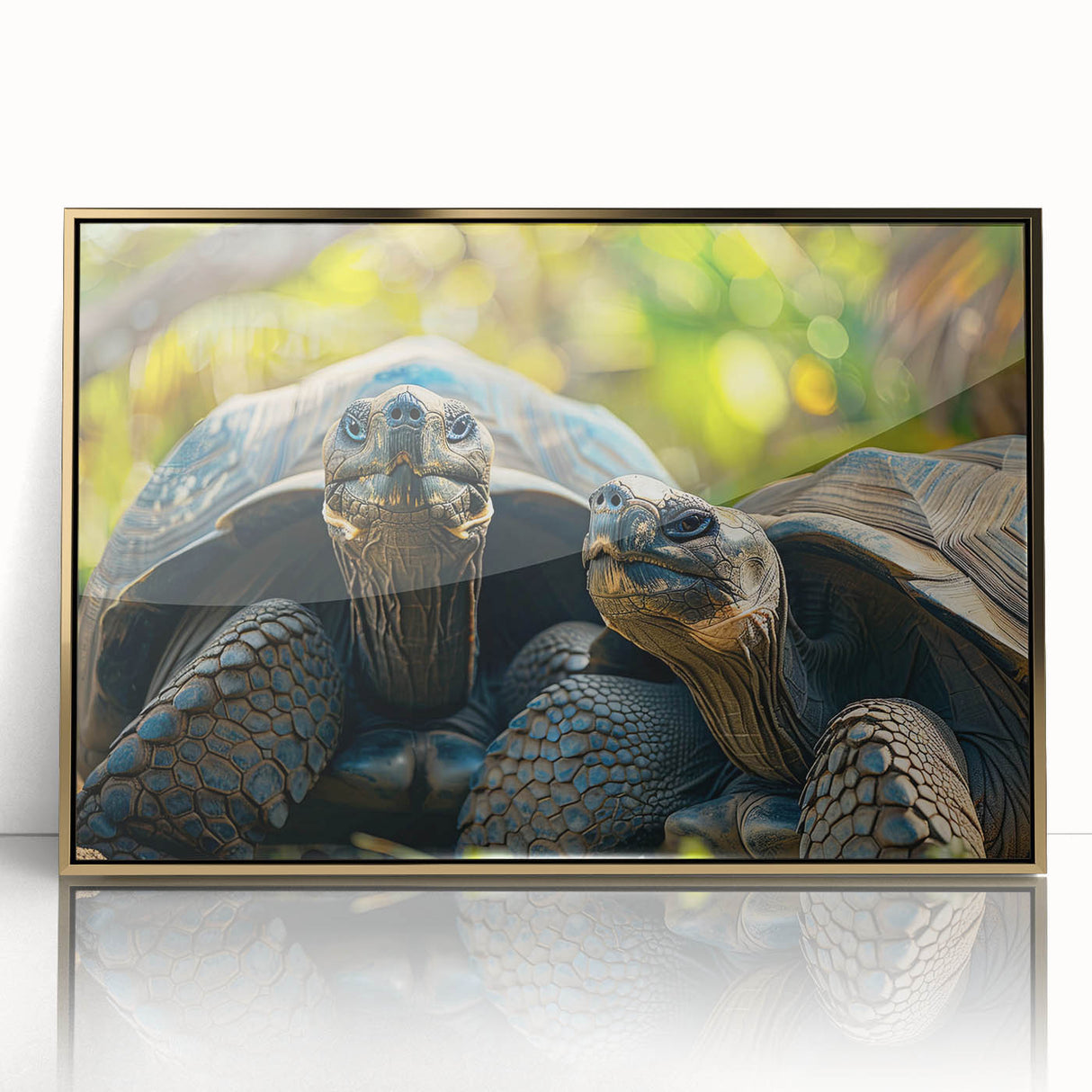 Large art print of a Seychelles scenery on framed acrylic.
