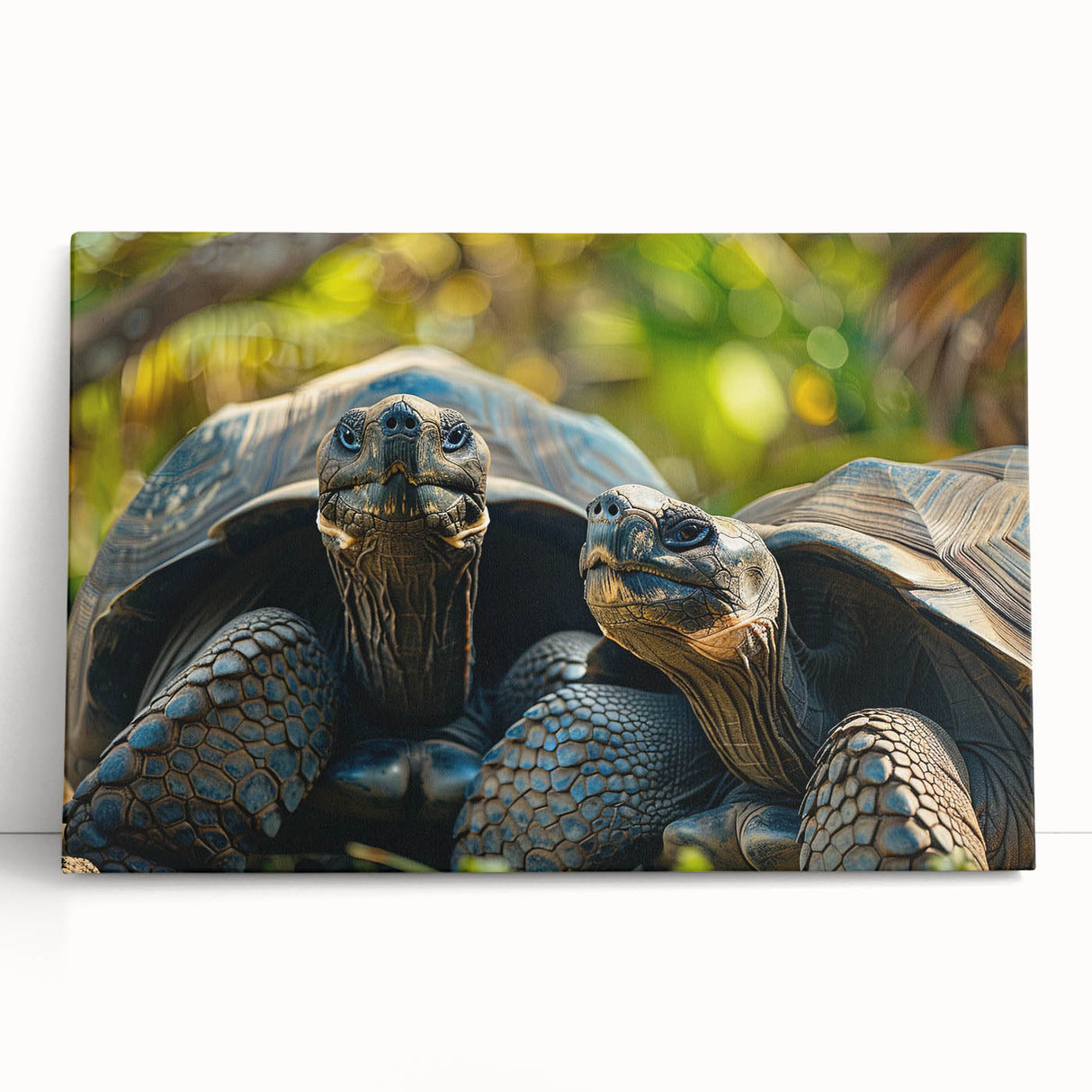 Black and white photograph of Seychelles scenery on large stretched canvas, ideal for kitchen wall art.