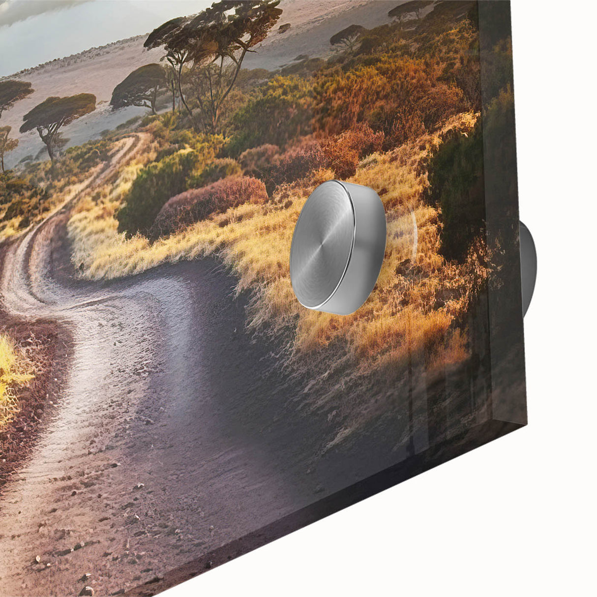 Large abstract wall art depicting a Tanzanian landscape in muted earth tones on acrylic glass.