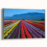 Landscape art painting of British Columbia on a framed canvas, featuring a blend of colorful art with black edges.