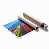 Extra large rolled print of British Columbia scenery in soft pastel shades, ideal for classy bathroom wall art.