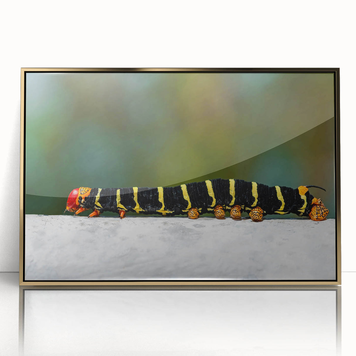 Framed acrylic print of a Caribbean scenery in mid-century modernist style with vibrant blue and green tones.