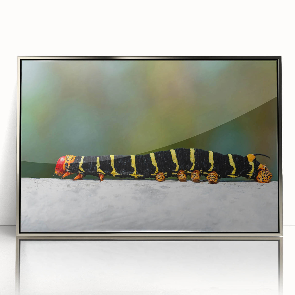Acrylic print of a Caribbean Martinique scenery in muted blue and green tones, framed in silver.