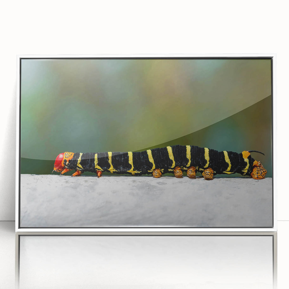 Framed acrylic print of a Caribbean Martinique scenery in pastel colors, ideal for modern art wall decor.
