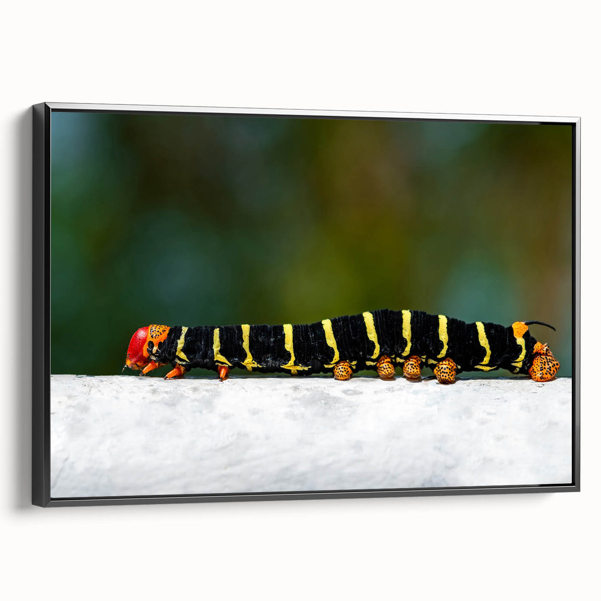 Black and white framed canvas depicting a vintage Martinique landscape, ideal for bedroom wall art.