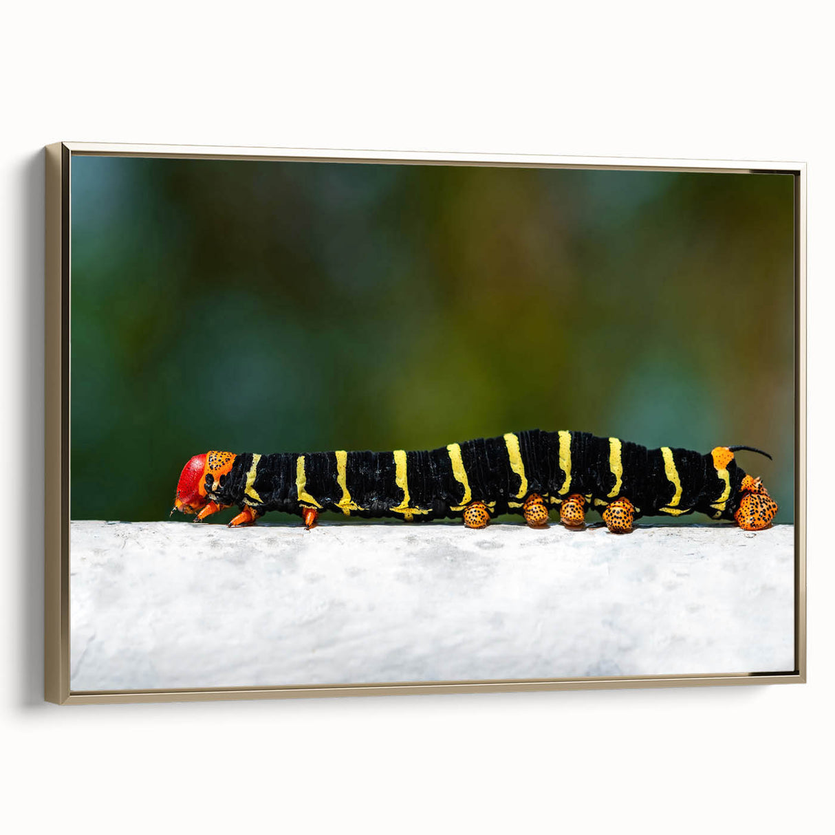 Vintage poster art of a Caribbean Martinique scenery on a framed canvas, featuring colorful art with black accents.