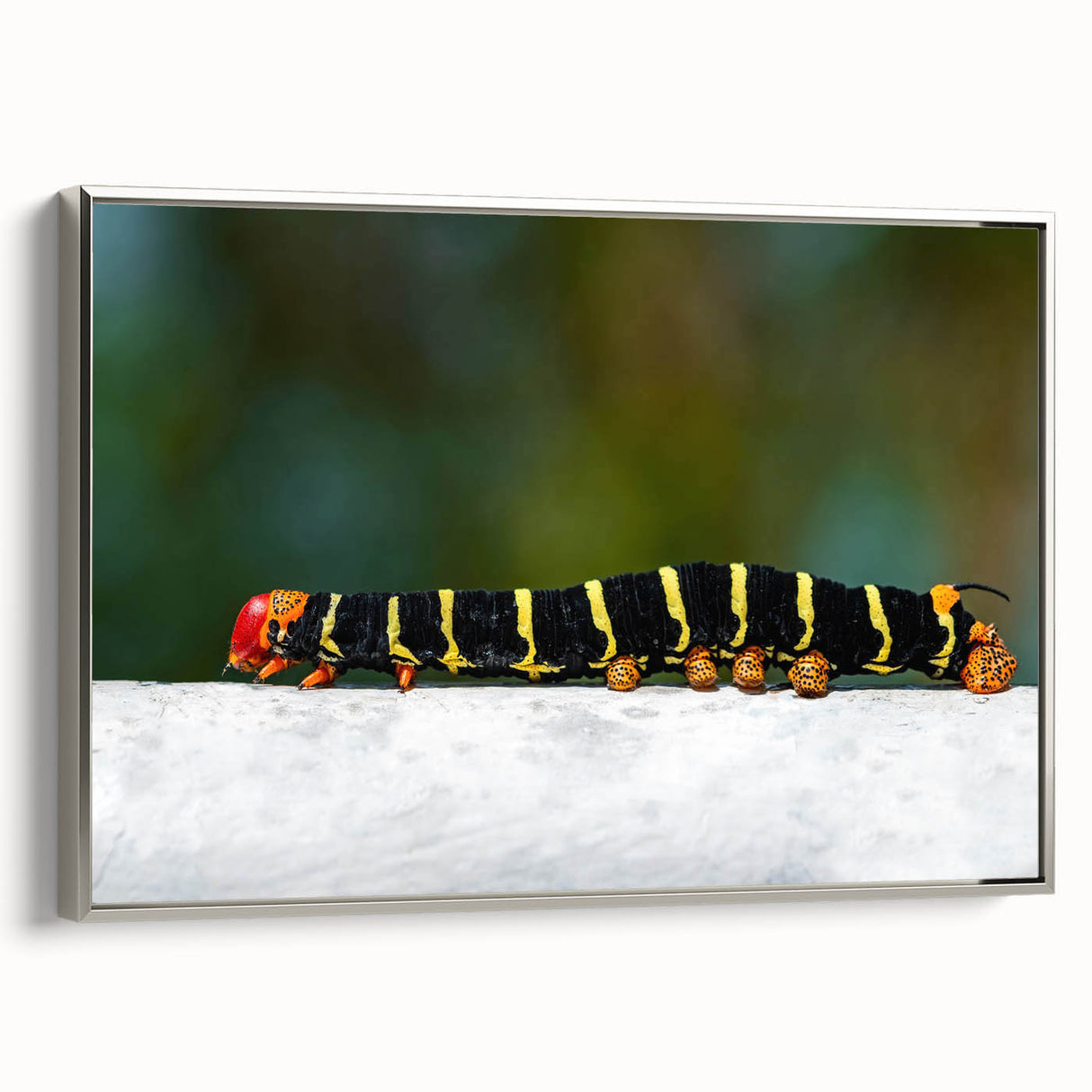 Framed canvas landscape painting of Caribbean Martinique with muted green and blue tones, ideal for bedroom wall art.